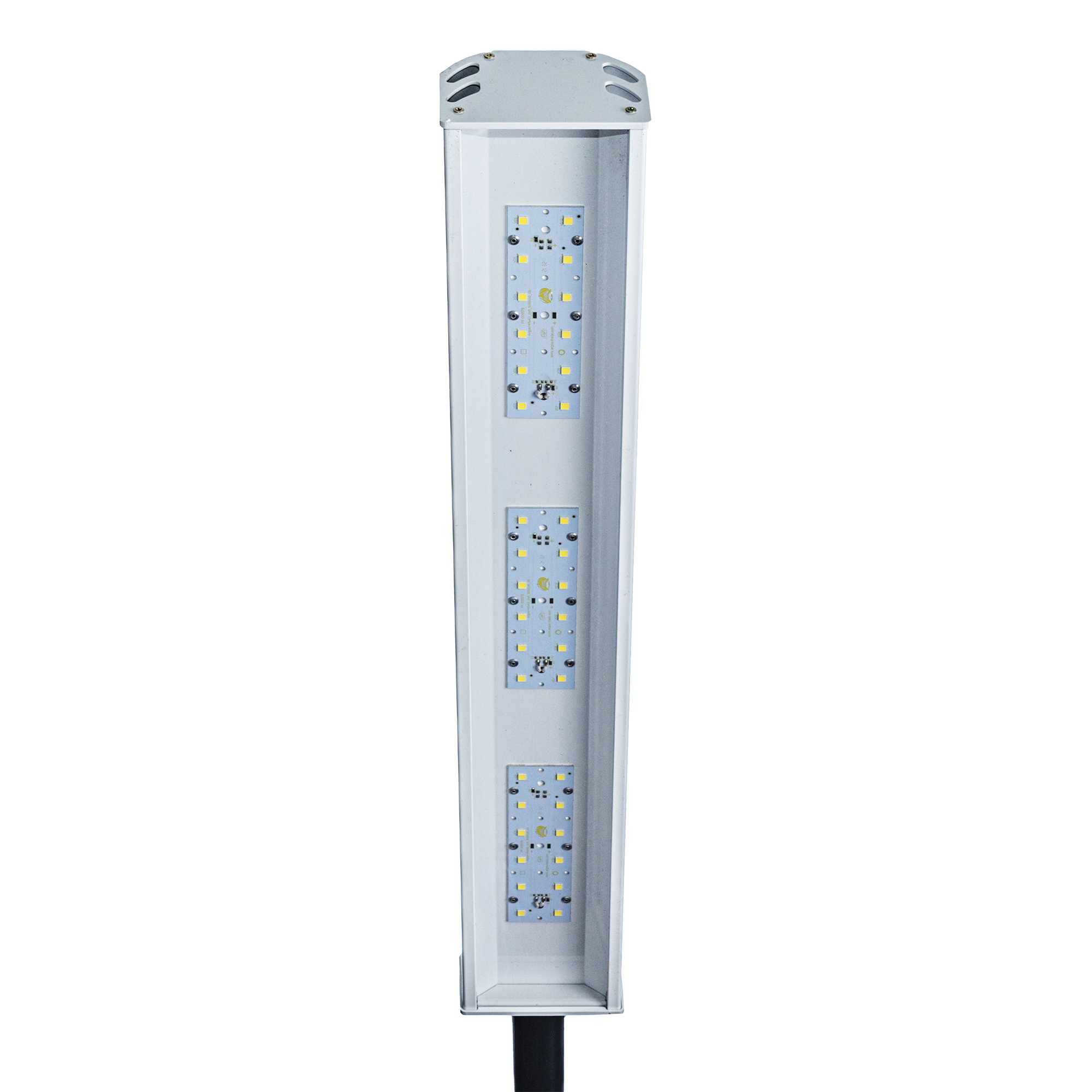 артикул GM: C100-42-84-CG-65-L246-S (1 модуль)+ - Светодиодное освещение от производителя